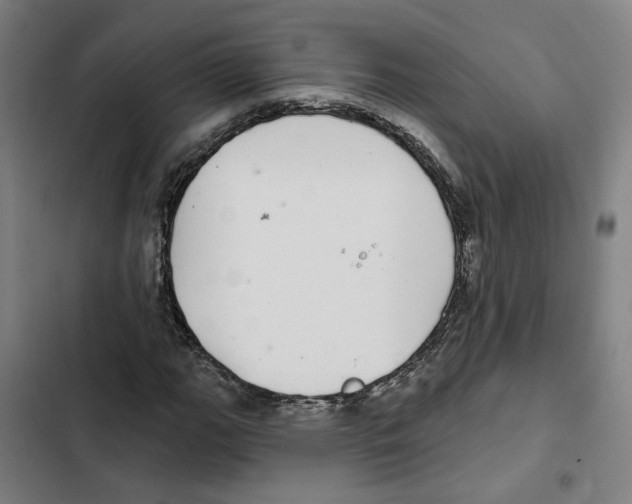 X0000102361111200808291219