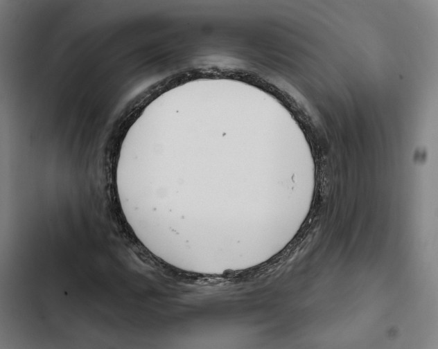 X0000102361112200808291219