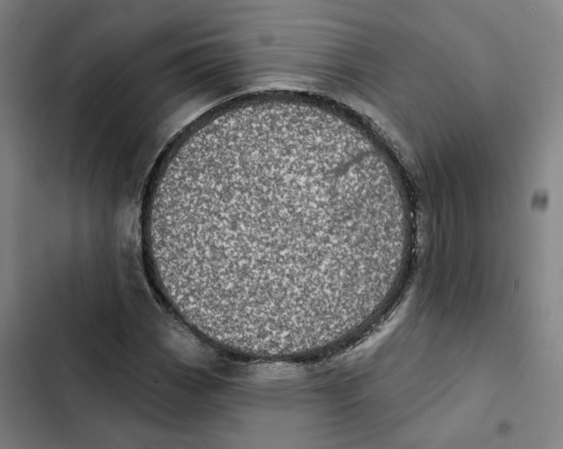 X0000102361113200808291219