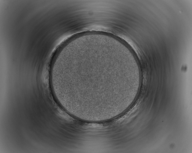 X0000102361115200808291219