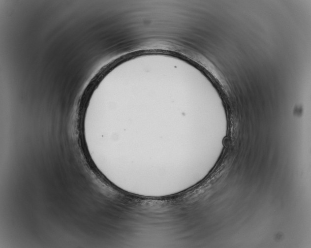 X0000102361116200808291219