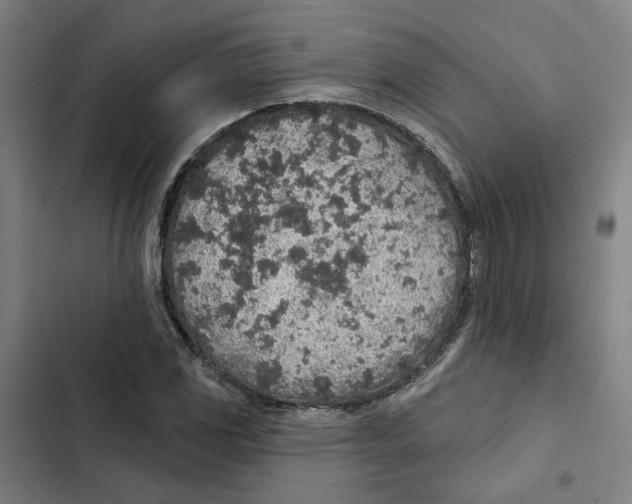 X0000102361117200808291219