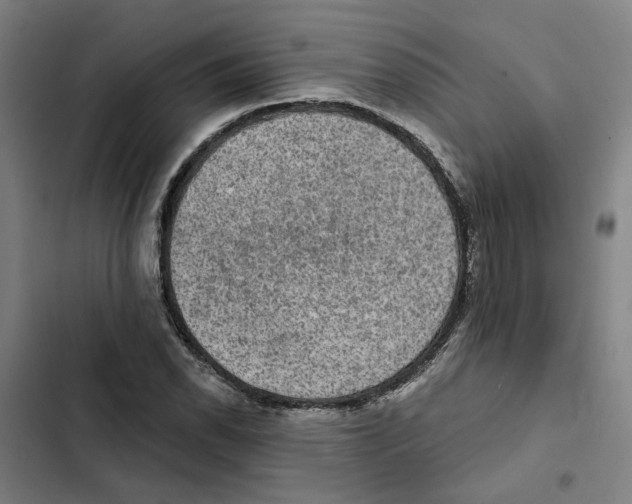 X0000102361118200808291219