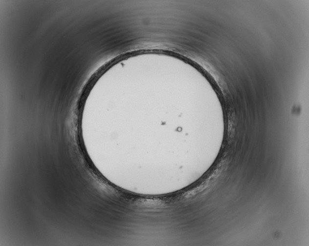 X0000102361119200808291219