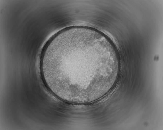 X0000102361120200808291219