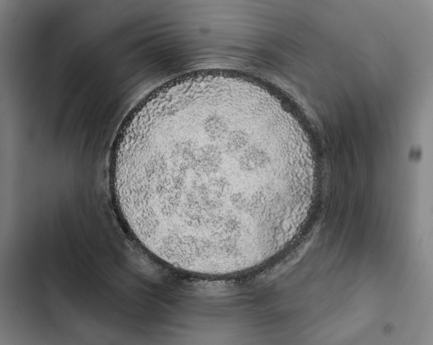 X0000102361121200808291219