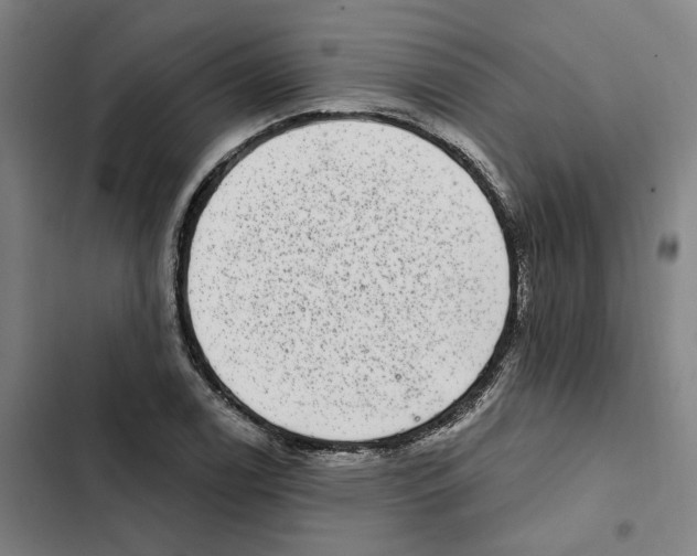 X0000102361122200808291219