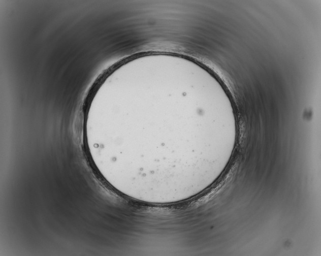 X0000102361123200808291219