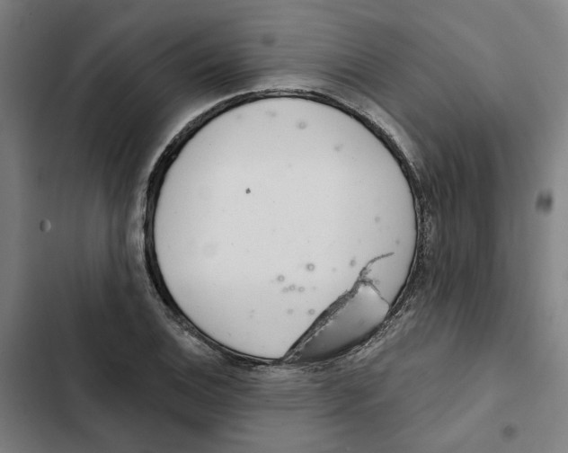 X0000102361124200808291219