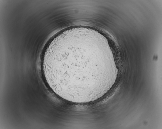 X0000102361125200808291219