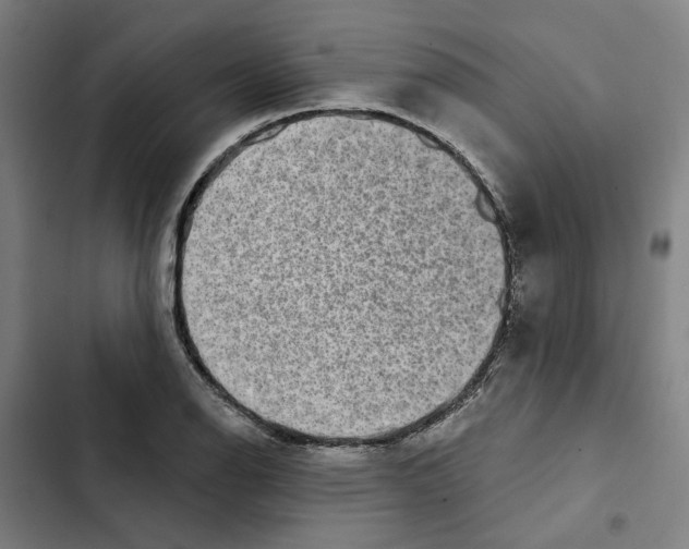 X0000102361126200808291219