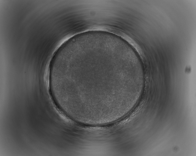 X0000102361127200808291219