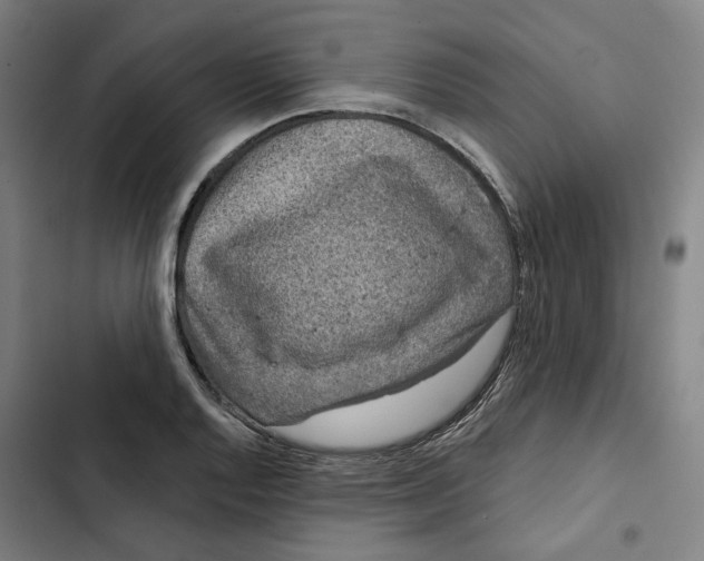 X0000102361128200808291219