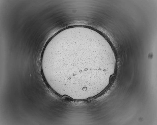 X0000102361129200808291219