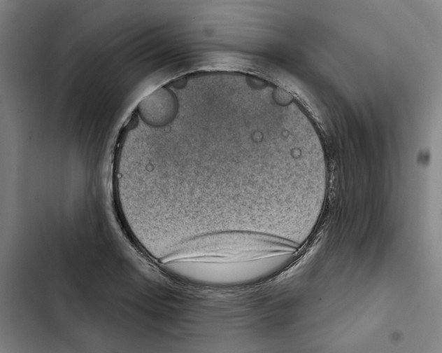 X0000102361130200808291219