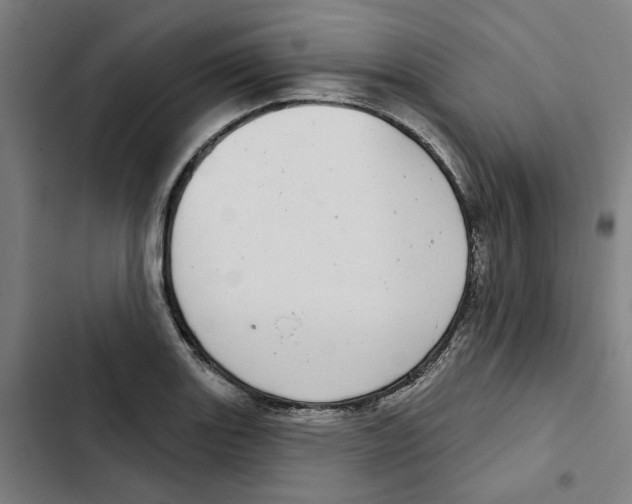 X0000102361131200808291219