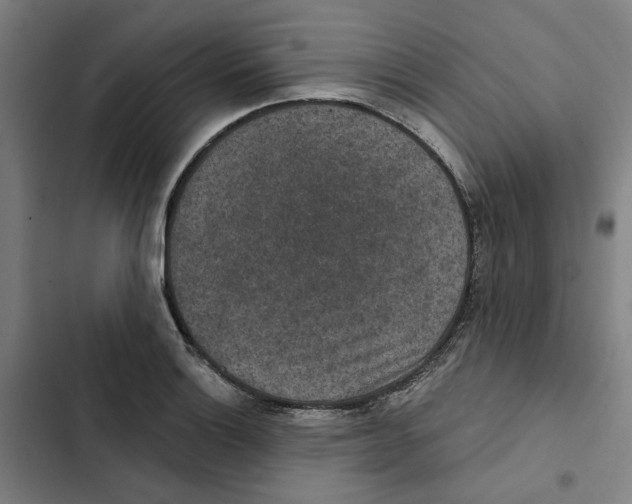 X0000102361132200808291219