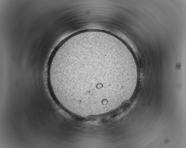 X0000102361133200808291219