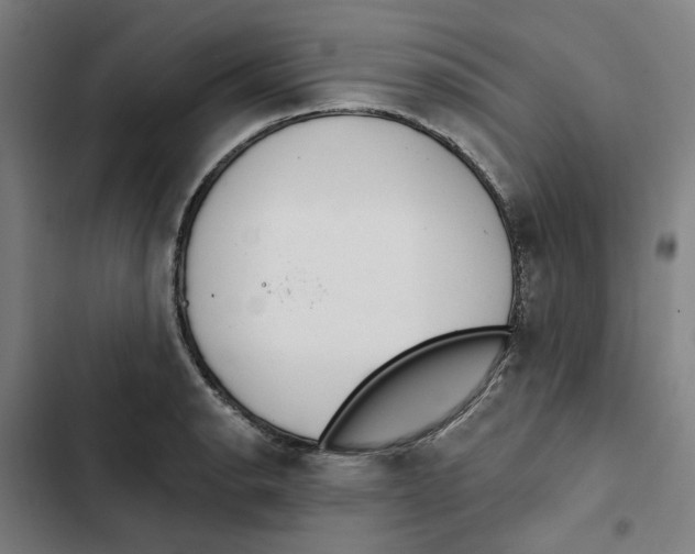 X0000102361134200808291219