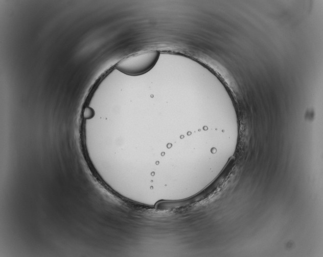 X0000102361135200808291219