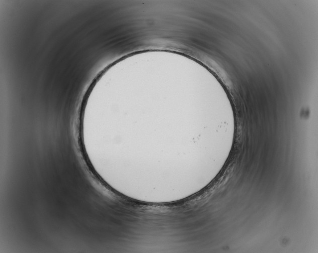 X0000102361136200808291219