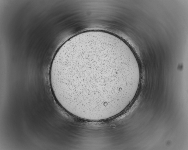 X0000102361137200808291219