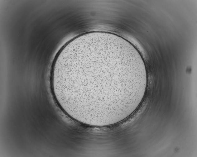 X0000102361138200808291219