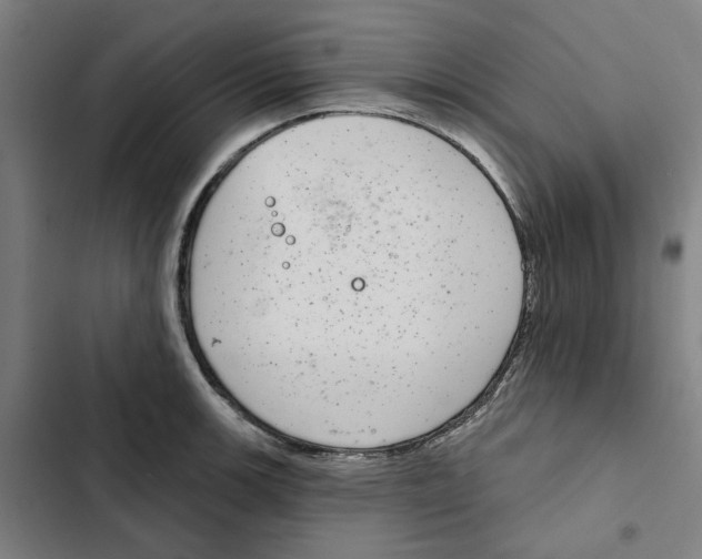 X0000102361139200808291219