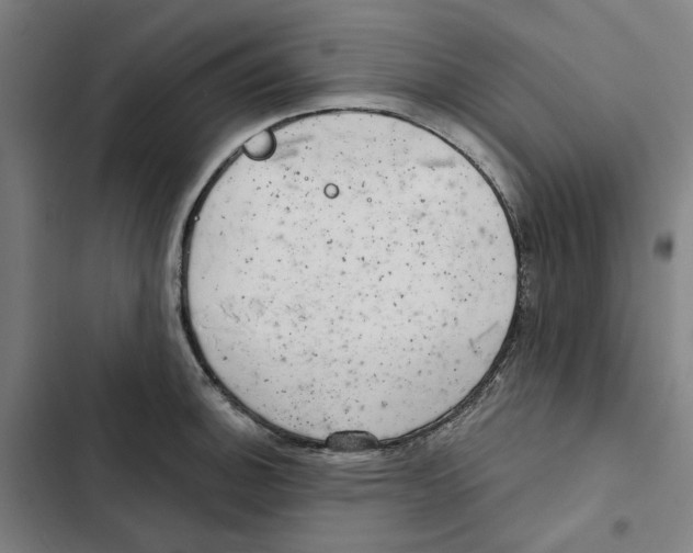 X0000102361140200808291219