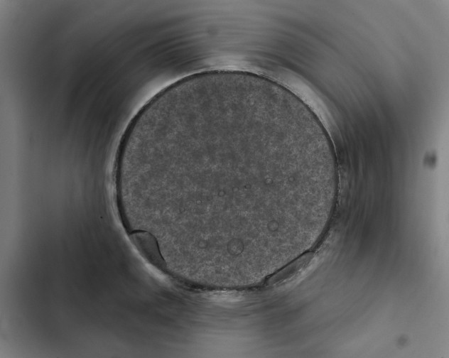 X0000102361141200808291219