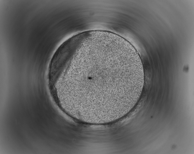 X0000102361142200808291219