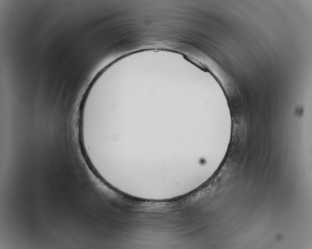 X0000102361143200808291219