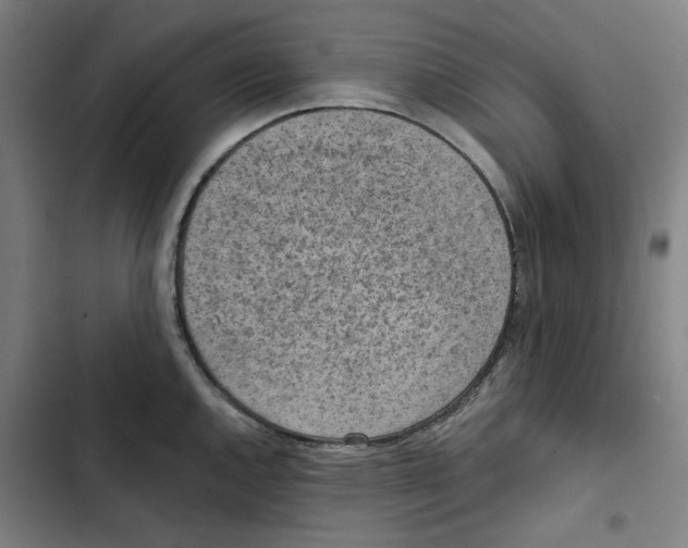 X0000102361144200808291219