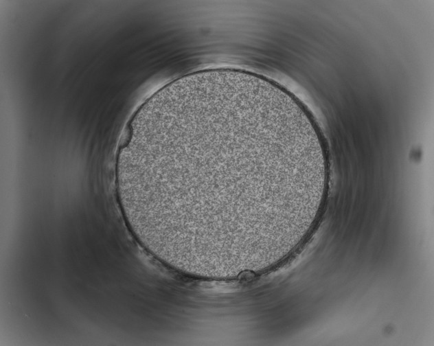 X0000102361145200808291219