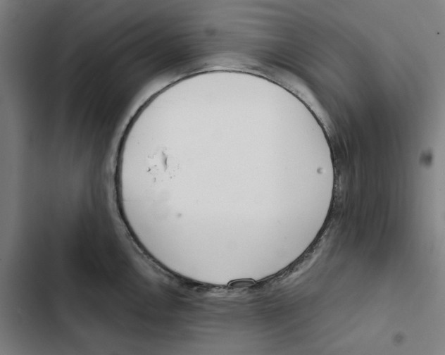 X0000102361146200808291219