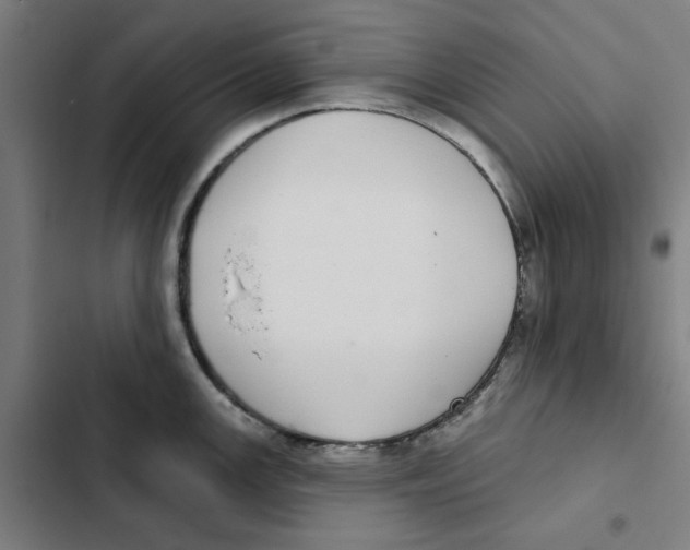 X0000102361147200808291219