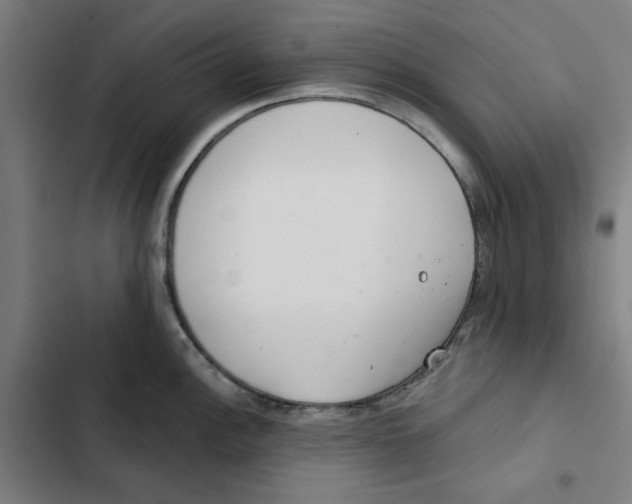 X0000102361148200808291219