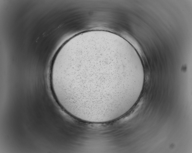 X0000102361149200808291219