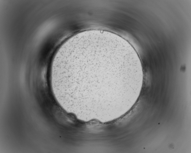 X0000102361150200808291219