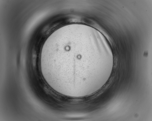 X0000102361151200808291219