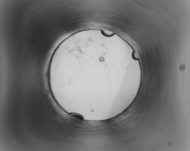 X0000102361152200808291219