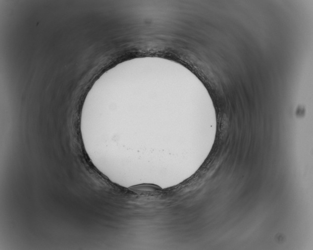 X0000102361153200808291218