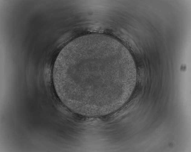 X0000102361154200808291218