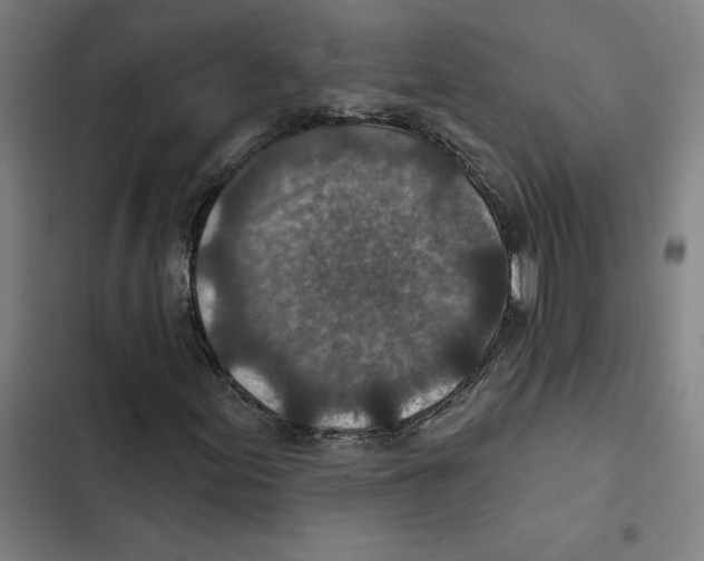 X0000102361155200808291218