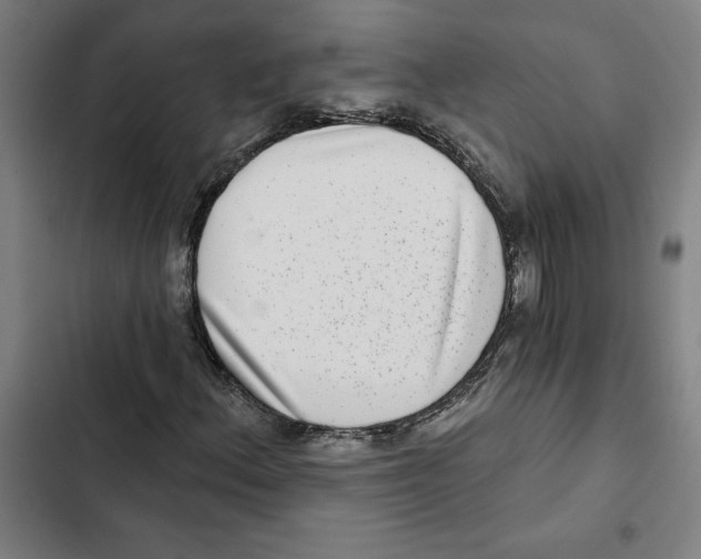 X0000102361156200808291218