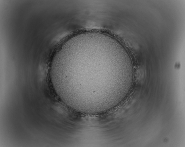 X0000102361157200808291218