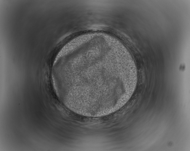 X0000102361158200808291218