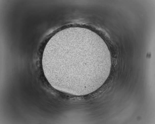 X0000102361159200808291218