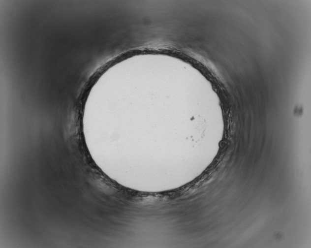 X0000102361160200808291218