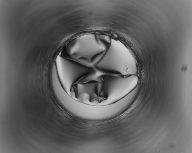 X0000102361161200808291218